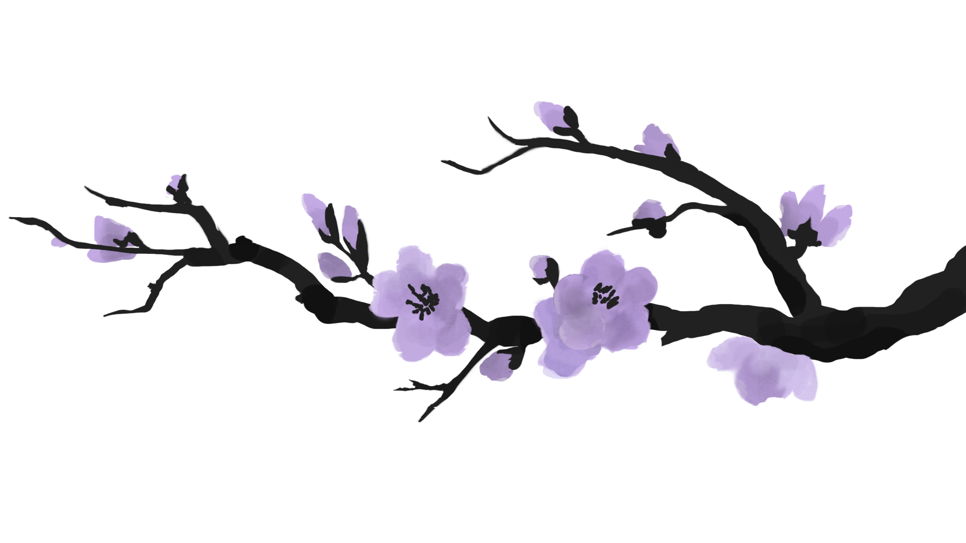 a sakura branch except flowers are lilac for some reason